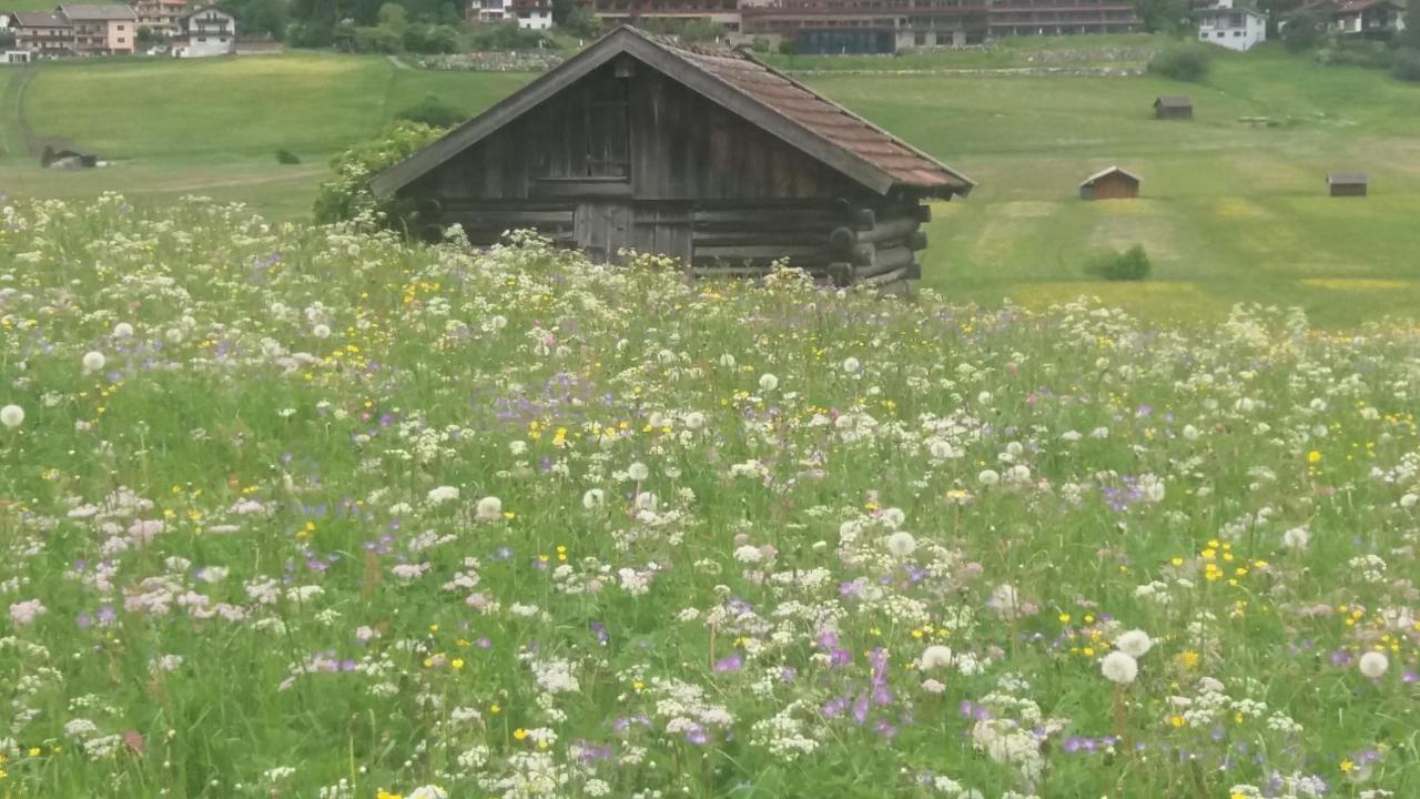 Tyrol Appartements Ehrwald Exterior foto