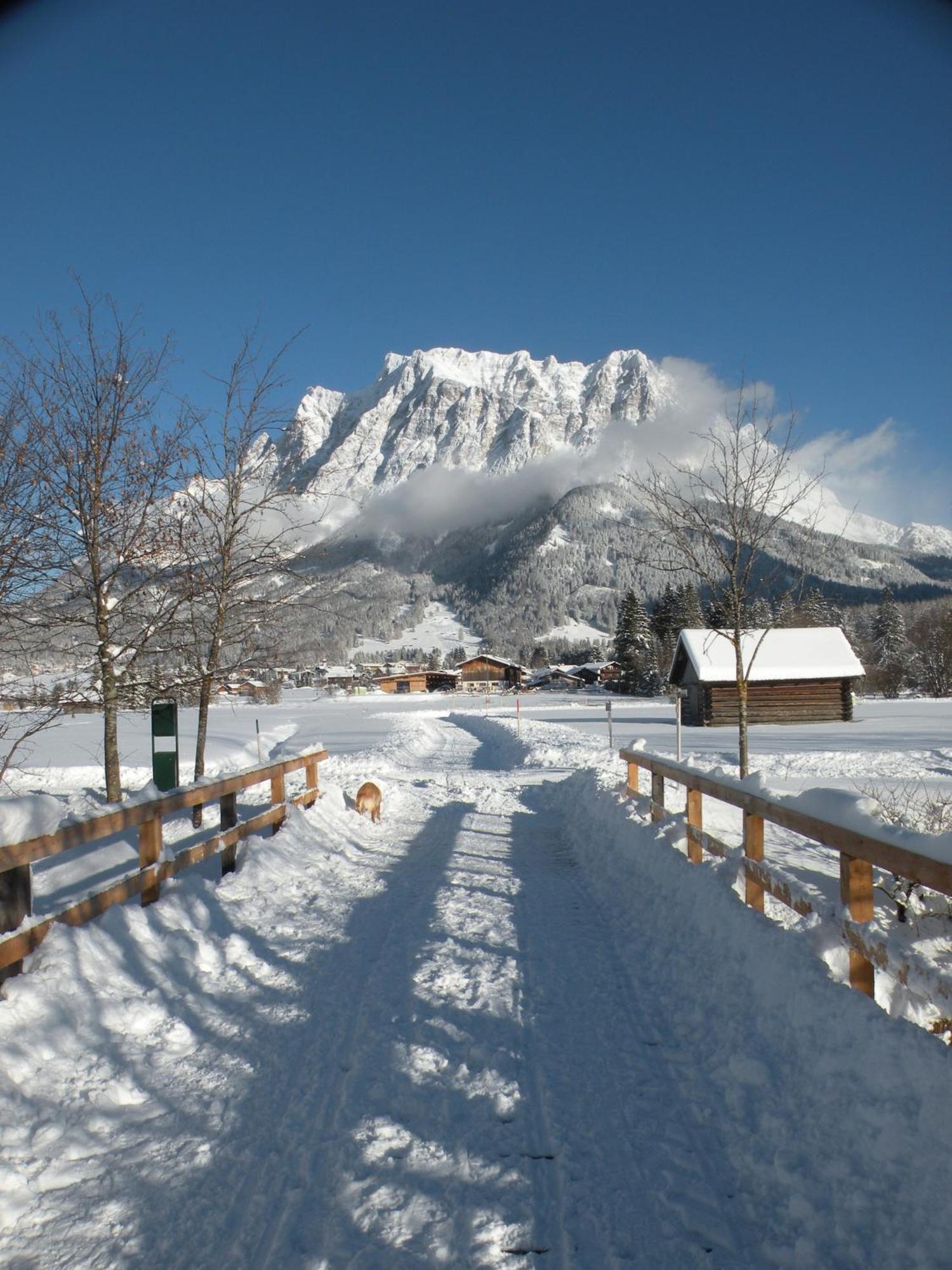 Tyrol Appartements Ehrwald Exterior foto